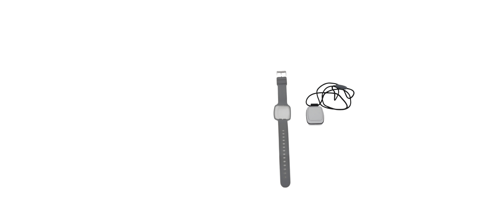 Carecall Webbanner fall detector